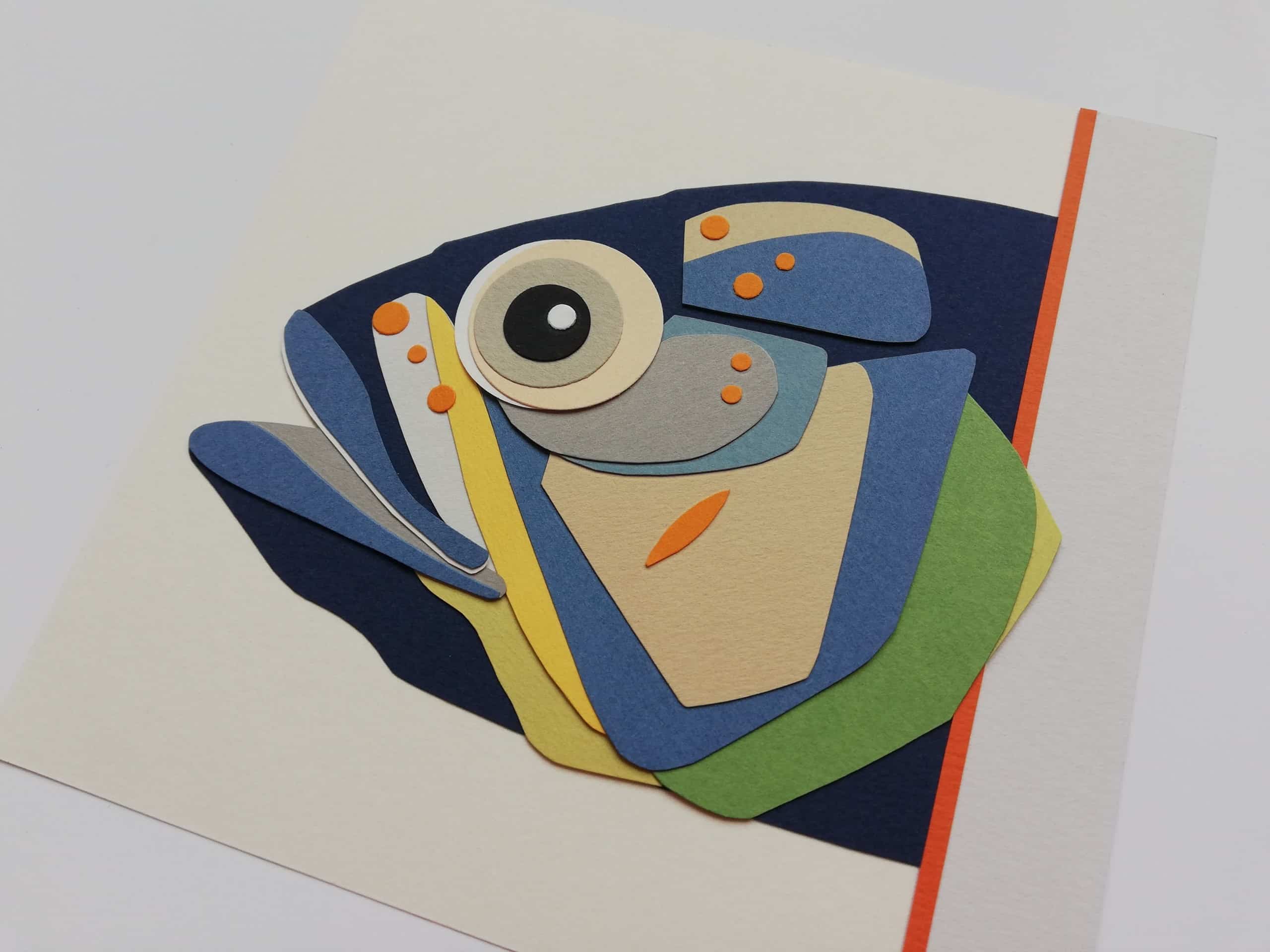 Collection FOCUS – Poisson – Image 3