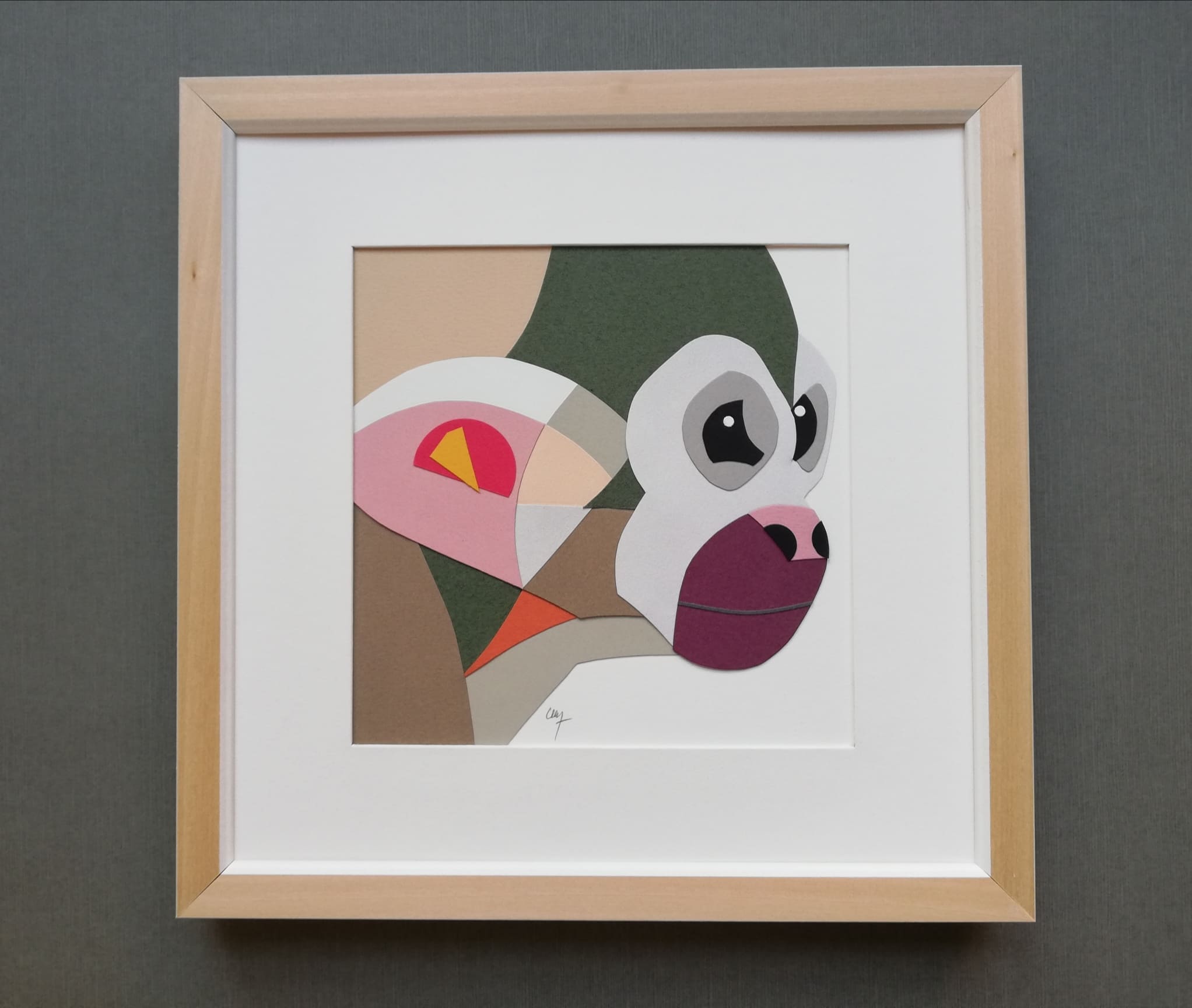 Collection FOCUS – Singe – Image 2