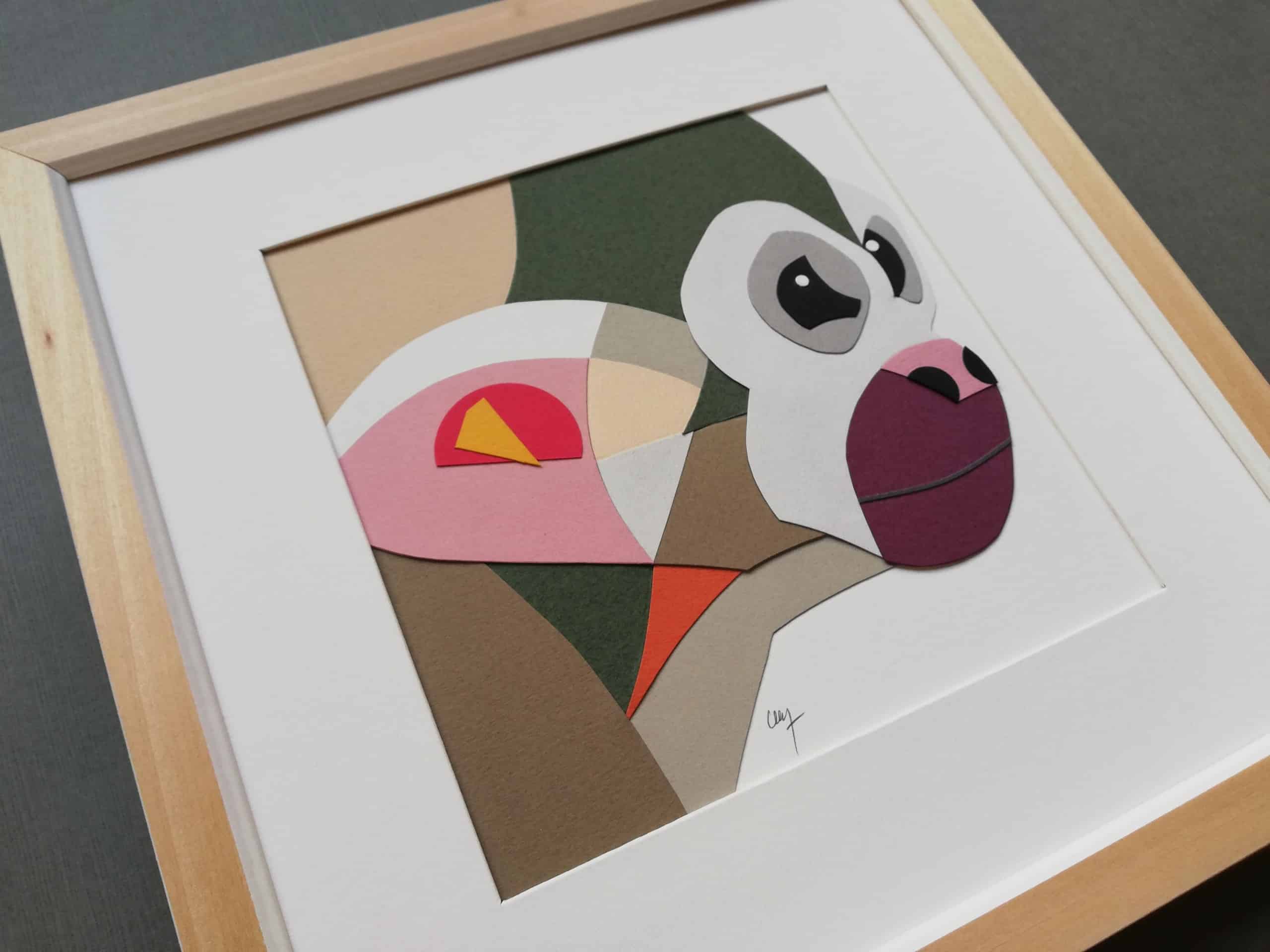 Collection FOCUS – Singe