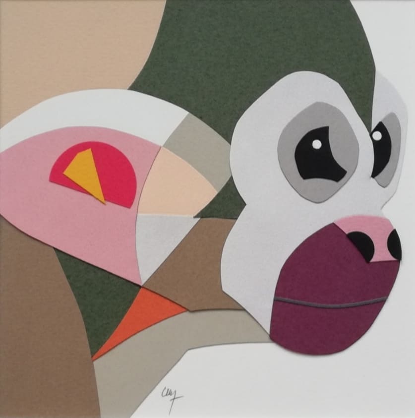 Collection FOCUS – Singe – Image 4