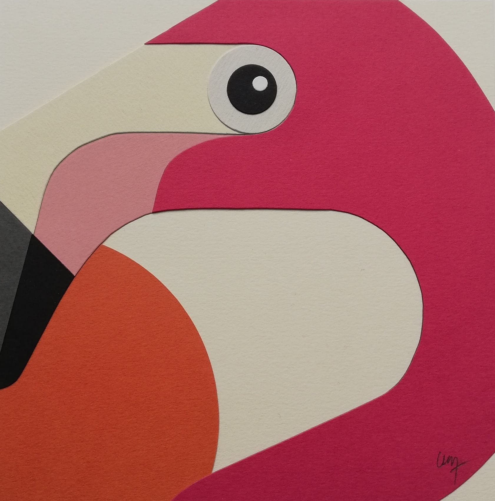 Collection FOCUS – Flamant-rose – Image 3